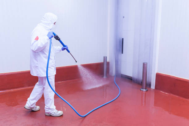 Best Winterizing Services  in Interlachen, FL