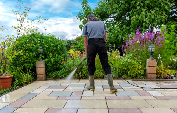 Best Winterizing Services  in Interlachen, FL